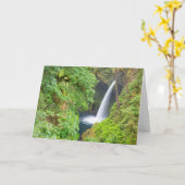 Carte Cascade Metlako (Fleur jaune)