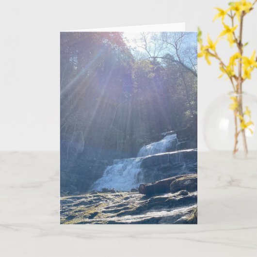 Carte Cascade, rochers et rayons de soleil (Fleur jaune)