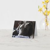 Carte Casey le greyhound (Fleur jaune)