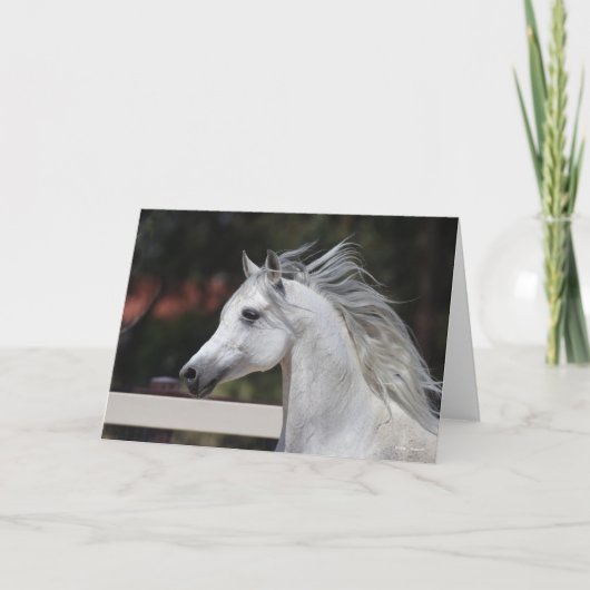 Carte Casque de Stallion arabe gris Mane Flower (Devant)