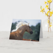 Carte Casque Palomino Rocky Mountain Horse (Fleur jaune)