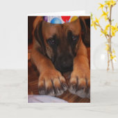 Carte Casquette de port de fête d'anniversaire de (Fleur jaune)