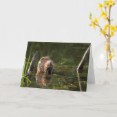 Carte Castor souriant (Fleur jaune)