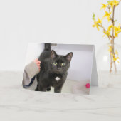 Carte Cat (Fleur jaune)