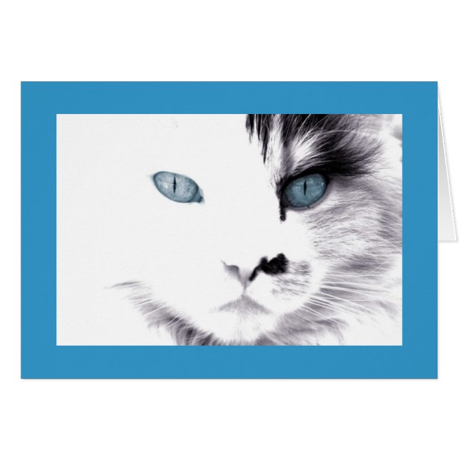 Carte Cat (Devant horizontal)
