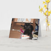 Carte Cat (Fleur jaune)