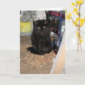 Carte Cat (Fleur jaune)