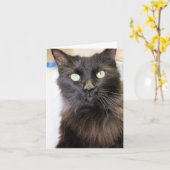 Carte Cat (Fleur jaune)