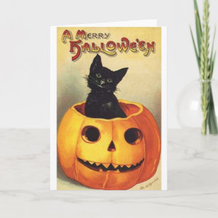 Carte Cat