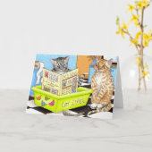 carte cat 464 (Fleur jaune)