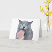 Carte Cat A Te Langue ? (Fleur jaune)