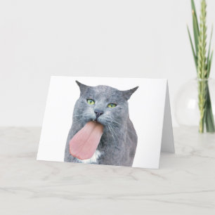 Carte Cat A Te Langue ?
