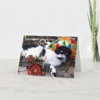 CAT AVEC Fête des pères CASQUETTE HARLEQUIN