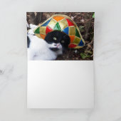 Carte CAT AVEC HARLEQUIN CASQUETTE Joyeux anniversaire (Intérieur)