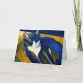 Carte Cat bleu (Devant)