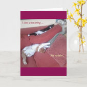 Carte Cat Card 2 fun photo / texte plus retour art abstr (Fleur jaune)