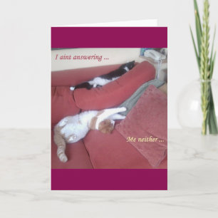 Carte Cat Card 2 fun photo / texte plus retour art abstr
