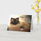 Carte Cat Cats Ragdoll Ragdolls Kitty Card (Fleur jaune)