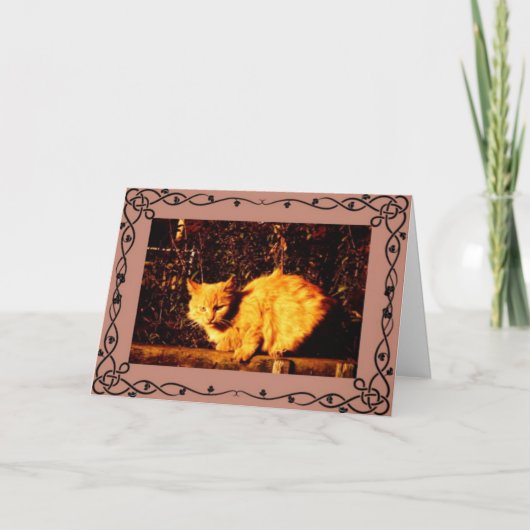 Carte Cat Condolence Card (Devant)