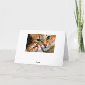 Carte Cat cuddles. (Dos)