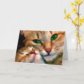 Carte Cat cuddles. (Fleur jaune)