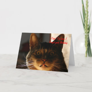 Carte CAT d'anniversaire tardif