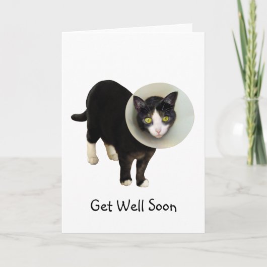 Carte Cat in Cone Get Well Card (Devant)
