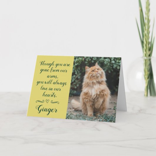 Carte Cat Loss Sympathy Card Personalized Photo Pet Name (Devant)