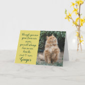 Carte Cat Loss Sympathy Card Personalized Photo Pet Name (Fleur jaune)