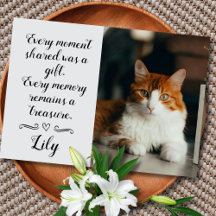 Cat Loss Sympathy Card Personalized Photo Pet Name
