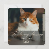 Carte Cat Loss Sympathy Card with Pet Photo & Name Pink (Devant)