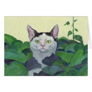 Carte Cat Masquage Et Recherche