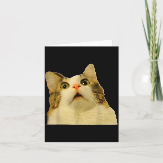 Carte Cat Meme Shock Cat Face Funny Meme Cat Silly Gift (Devant)