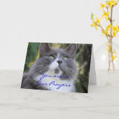 Carte Cat Prayer card-change for any occasion (Fleur jaune)