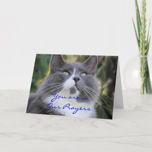 Carte Cat Prayer card-change for any occasion (Devant)