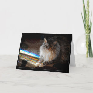 Carte Cat Rainbow Bridge note de condoléances ou salut