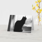 Carte Cat regarde dehors (Fleur jaune)