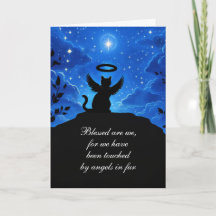 Cat Sympathy Angel Cat Looking at the Heavens