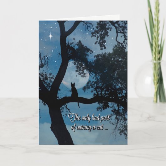 Carte Cat Sympathy Card, Loss of Cat, Cat Condolences (Devant)