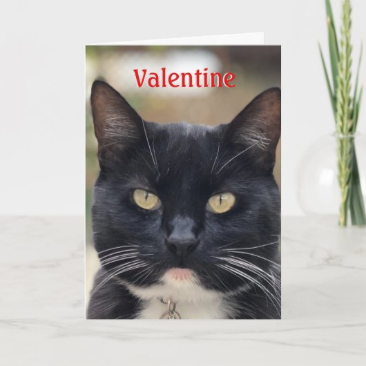 Carte Cat Valentine (Devant)