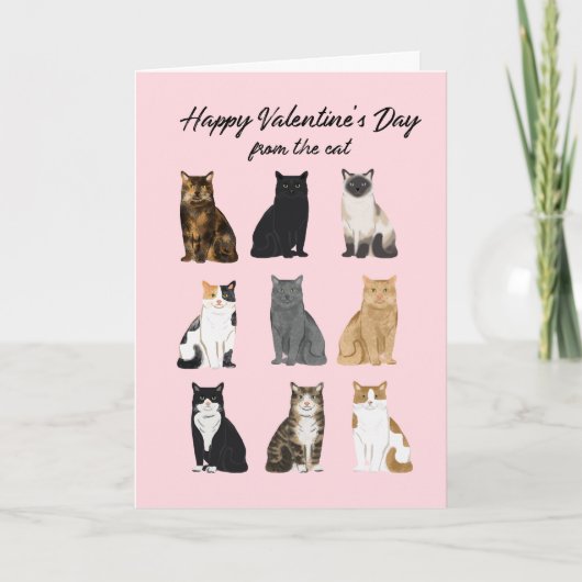 Carte Cat Valentine's Day (Devant)