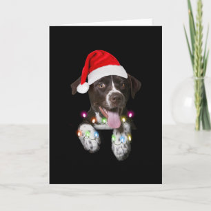 Carte catahoula puppy sitting christmas light