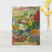 Carte Catalogue de graine du cru 1913, (Fleur jaune)