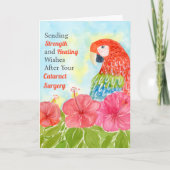 Carte Cataract  Surgery Healing Scarlet Macaws, Hibiscus (Devant)