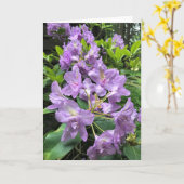 Carte Catawbiense Boursault Rhododendrons, Oregon (Fleur jaune)