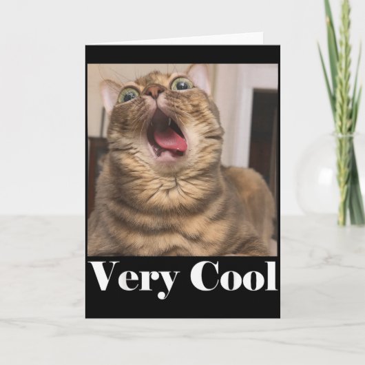 Carte Cats Meme Graphic Silly Cat Humor Funny Cat Very C (Devant)