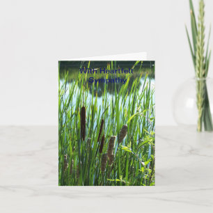 Carte Cattails à l'étang, sympathie