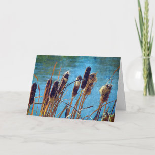 Carte Cattails sur l'étang
