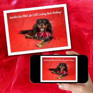 Carte Cavalier King Charles Boa noir et fauve Joyeux Ann