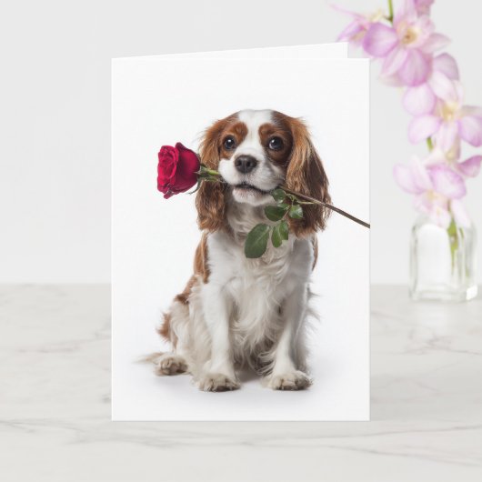 Carte Cavalier King Charles Saint Valentin – Amour Tendr (Orchidée)